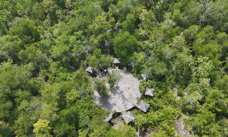 RPKPP Tanah Bumbu Dorong Pengembangan Desa Wisata Mangrove di Angsana